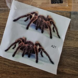 🏷 מדבקת סיליקון לקישוט הרכב עכביש טרנטולה